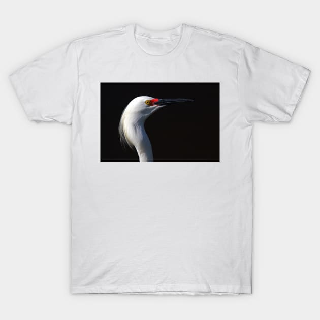 Snowy Egret T-Shirt by Jim Cumming